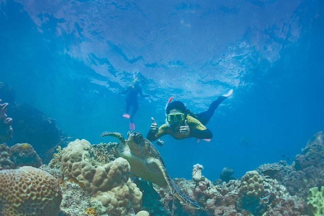 Whitsunday Islands Sail, SUP & Snorkel Tour- Small group - A comfortable catamaran day from Airlie Beach