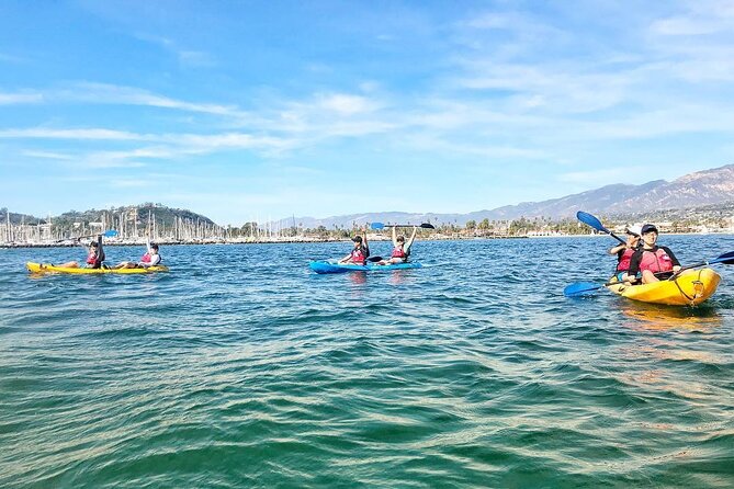 Wildlife Kayak Tour in Santa Barbara Harbor (2 Hours) - Is $59 a good value?