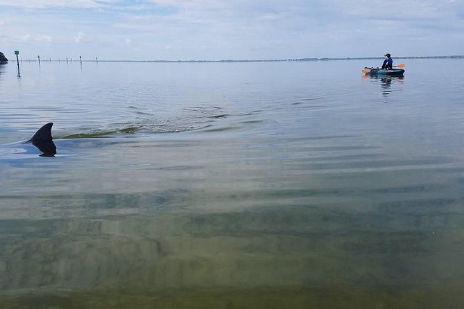 Wildlife Refuge Manatee, Dolphin & Mangrove Kayak or Paddleboarding Tour! - A 90-Minute Route Through Mangroves and Open Water