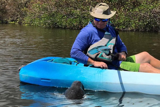Wildlife Refuge Manatee, Dolphin & Mangrove Kayak or Paddleboarding Tour! - Who Will Enjoy This Most?