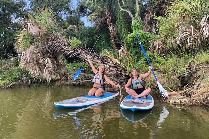 Wildlife Refuge Manatee, Dolphin & Mangrove Kayak or Paddleboarding Tour! - Manatees, Dolphins, and the Luck Factor